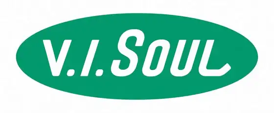 V.I.Soul ロゴ